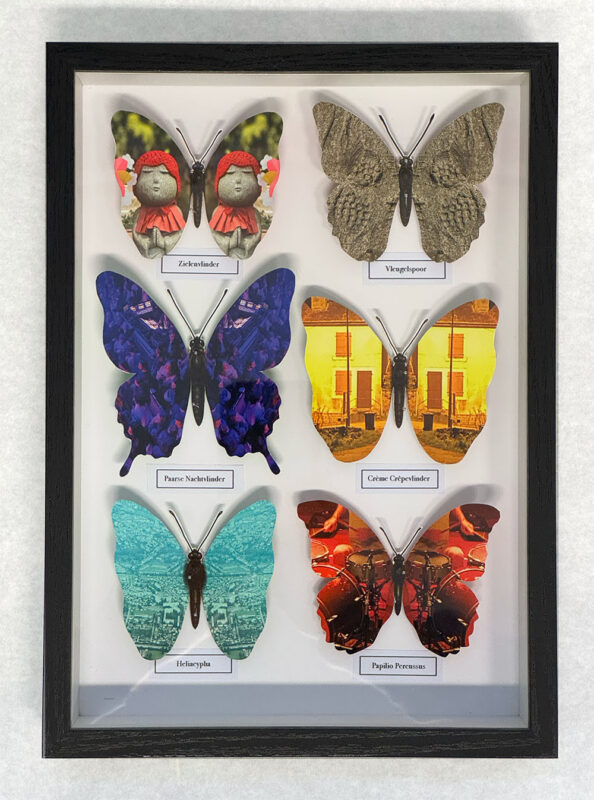 Vlinderdoos 1; Mimicry, price € 180