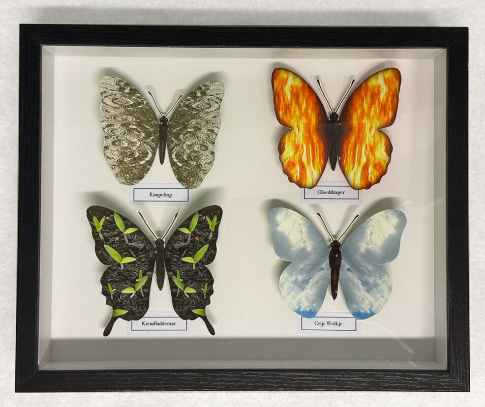 Vlinderdoos 4; Mimicy, price € 160