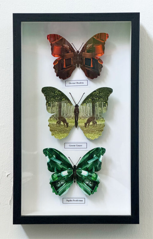 Vlinderdoos 2; Mimicy, price € 140