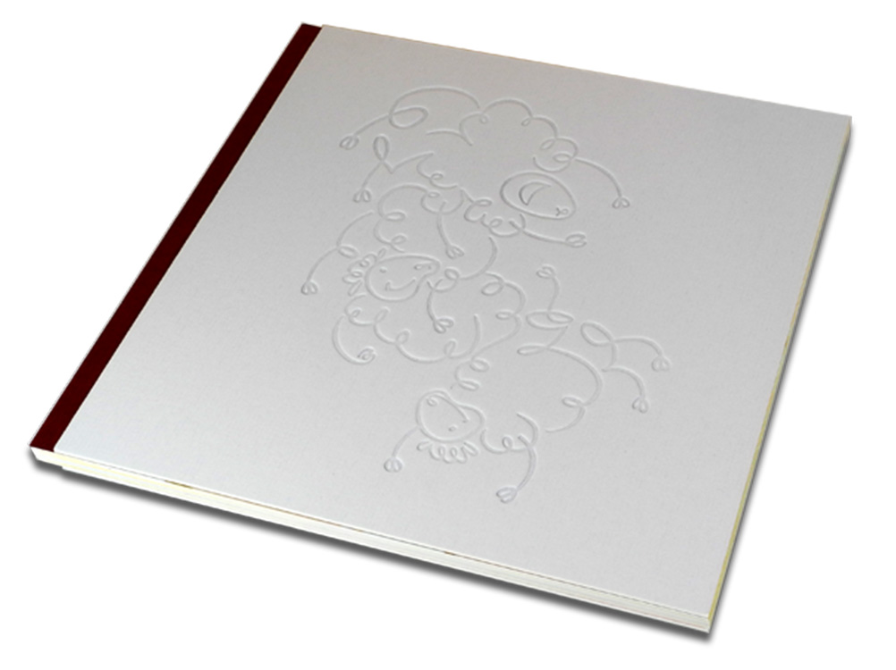 Theo het Schaap. Book for sale: price €25